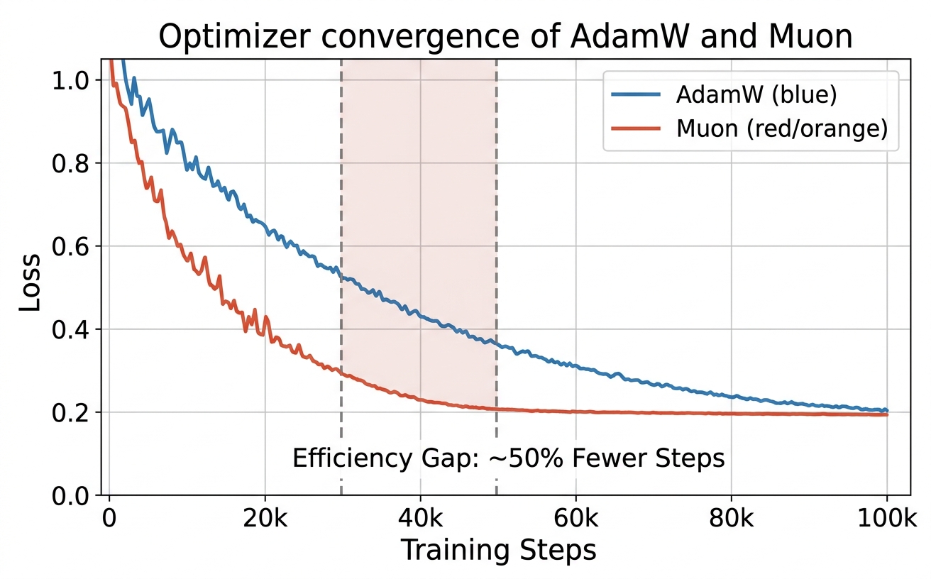 Muon: Training and Trade-offs with Latent Attention and MoE